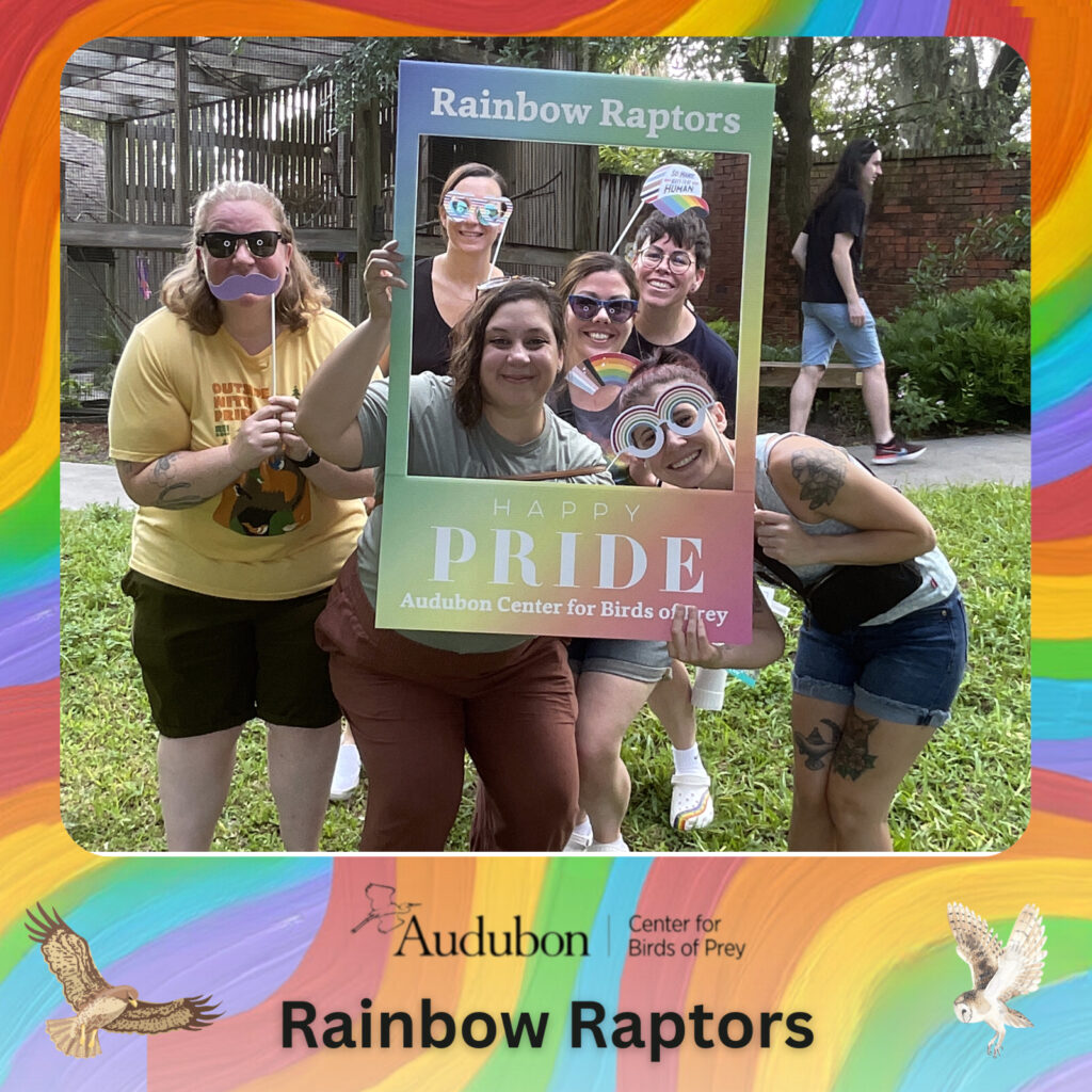 Audubon Center for Birds of Prey - Rainbow Raptors